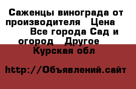 Саженцы винограда от производителя › Цена ­ 800 - Все города Сад и огород » Другое   . Курская обл.